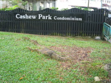 Cashew Park Condominium (D23), Condominium #1133572